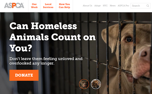 Putting a call to action on your homepage can make your website more impactful